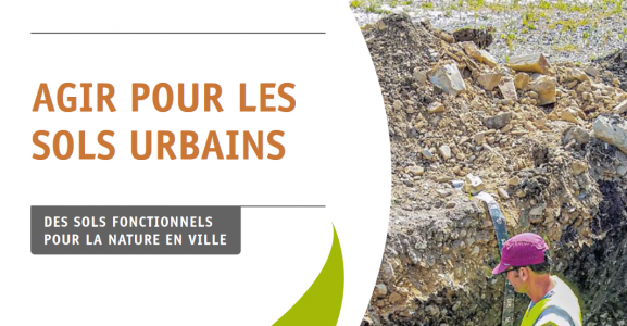Publication sols urbains - P&C - 2023