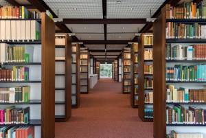 Prise de vue de la bibliothèque CJBG